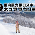 ピコ太郎がスキー場を合体させる？！「星野リゾート　ネコマ マウンテン」CMを11月より放送開始(New!!)