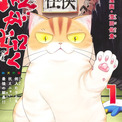 親分が猫というヤクザの組で、振り回される組員描く“ニャン侠コメディ”1巻(New!!)