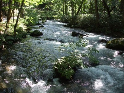 山で飲む渓流の水はどうしておいしいの ニコニコニュース