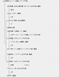 ダルビッシュ有投手 山本聖子さんとの間に新しい命を授かりました 山本家の家系図がスゴイ ニコニコニュース