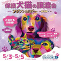 ジョートフル熊本プロジェクト、「韓国っぽ」な保護犬猫譲渡会イベントを開催！(New!!)