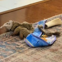 掃除中の飼い主を気遣いぬいぐるみを1カ所に集めた犬の行動にグっとくる(New!!)