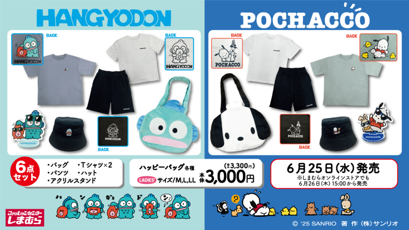 2025キャラクター 6点セット　未開封段ボール付き　最終値下げします！ b828x800l.webp?key=