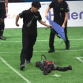 完全自律AIロボットによる3対3のサッカー試合が見どころ満載(New!!)