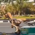 一方インドでは、恐竜が仕事をしていた。電動リキシャを魔改造した運転手が話題に(New!!)