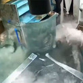 中国のレストランで魚の入った水槽が爆発(7コメント)