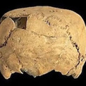 メキシコで「四角い頭蓋骨」が発見される。約1400年前に行われていた頭蓋変形の痕跡(New!!)