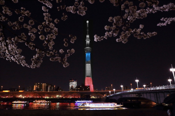 朗報 東京タワーに続きスカイツリーも トリコロールカラー に ニコニコニュース