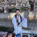 彩青「門前仲町の恋ざくら」発売記念大横川クルーズイベント(New!!)