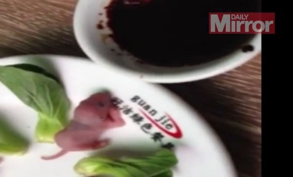 怖すぎ 赤ちゃんネズミを生きたまま醤油で食べる映像が話題に ニコニコニュース