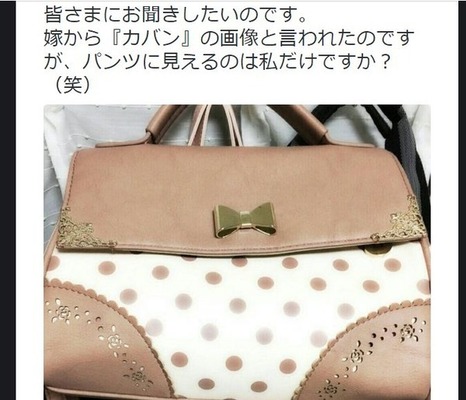 どう見ても 女性の パンツ に見える不思議なかばんが話題に ニコニコニュース どう見ても 女性の パンツ に見える不思議なかばんが話題に ニコニコニュース