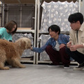 横山裕、相葉雅紀と再び“保護犬トリミング”　親友同士の本音トークも(New!!)