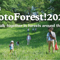 日本発、森を歩いて世界とつながる「GotoForest!」が世界へ。13カ国45地域で開催、国際的ムーブメントに(New!!)