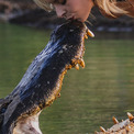 大学の卒業写真はワニとキス。幼いころから野生動物保護活動を行っていた女性が記念撮影(New!!)