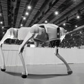 2026年のワールドカップではロボット犬が警備を担当(1コメント)