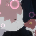 アニメ「猫と竜」第1話場面カット公開　出産したばかりの母猫が小さな竜を拾う　(New!!)