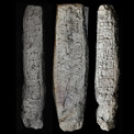 約1800年前の石碑に古代マヤ文明最古の長期暦の日付を発見(New!!)