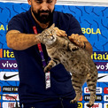 再び発動？2026年W杯ブラジル敗退で「猫の呪い」がネットで再燃(New!!)