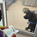 保護施設の犬猫に100時間以上読み聞かせを続ける11歳の少年の思い(New!!)