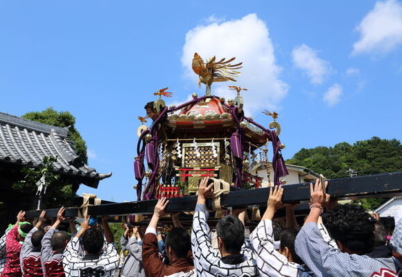 愛媛県 松山では神輿を川に ぶん投げる一見罰当たりな祭りがある ニコニコニュース