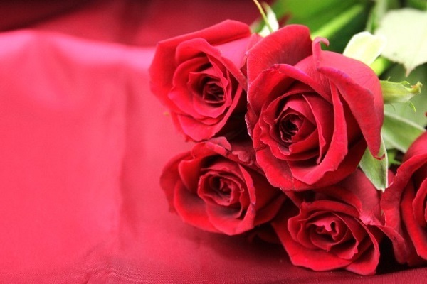 ムード作りで男性をエロい気分にさせる 官能風水 ニコニコニュース