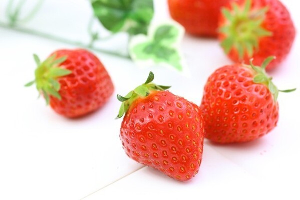 え そっちが本体 イチゴは つぶつぶ リンゴは 芯 の部分が実だってほんと ニコニコニュース え そっちが本体 イチゴは つぶつぶ リンゴは 芯 の部分が実だってほんと ニコニコニュース