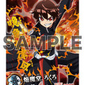 双星の陰陽師とは ソウセイノオンミョウジとは 単語記事 ニコニコ大百科
