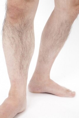やん セクシー すね毛の濃い男性 を好きな女性 ニコニコニュース やん セクシー すね毛の濃い男性 を好きな女性 ニコニコニュース