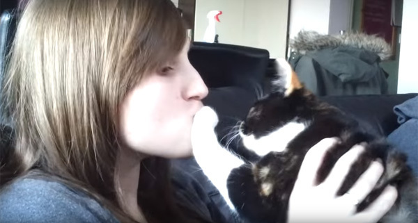 断固拒否するニャ 美女からの熱烈なキスを全力で嫌がるニャンコが可愛すぎる 動画 ニコニコニュース 断固拒否するニャ 美女からの熱烈なキスを全力で嫌がるニャンコが可愛すぎる 動画 ニコニコニュース