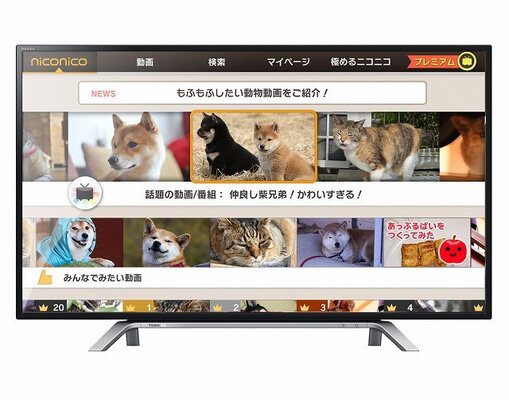 東芝 レグザ 向けアプリ Niconico リリース レグザ でニコニコ動画が視聴可能に ニコニコニュース