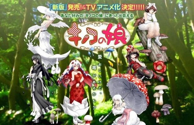 キノコを美少女へ擬人化したイラスト図鑑がtvアニメ化 キノコの娘 17年に放送決定 ニコニコニュース