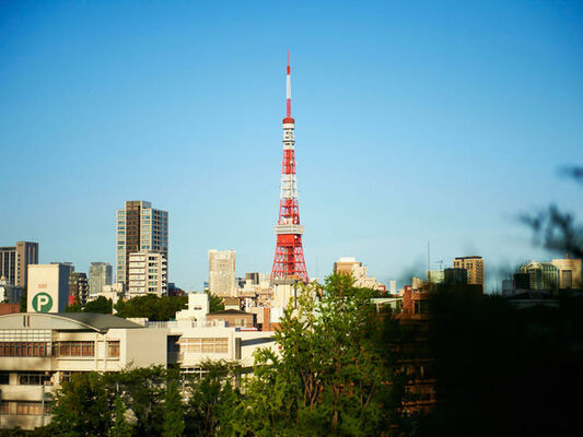 正直 子どもは欲しくない でも 結婚したい ニコニコニュース