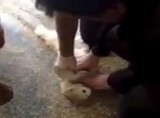 動画 心肺停止になった猫が心臓マッサージで生き返る瞬間 ニコニコニュース 動画 心肺停止になった猫が心臓マッサージで生き返る瞬間 ニコニコニュース