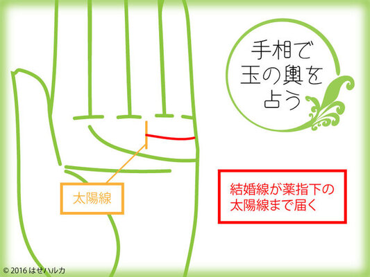 憧れる玉の輿 私にチャンスはある 手相で鑑定 ニコニコニュース