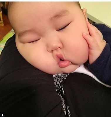 海外絶賛 アジア人の赤ちゃんが可愛すぎるとメロメロになる外国人続出 アジ赤専用instagramまで ニコニコニュース