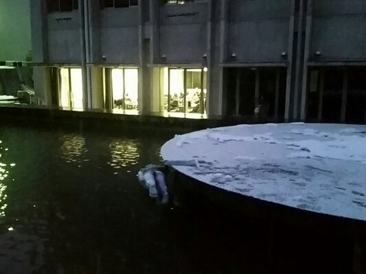 大学の池に 水死体 よくよく見ると ニコニコニュース