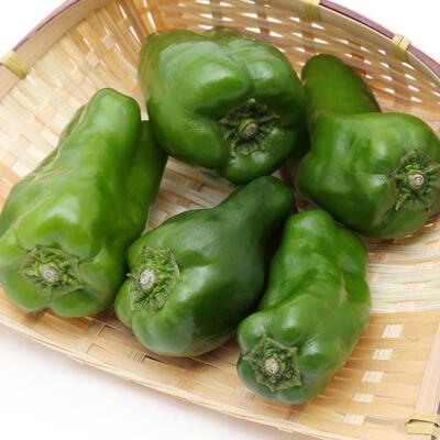 専門家に聞いてみた 苦いピーマンを美味しく食べるコツ ニコニコニュース 専門家に聞いてみた 苦いピーマンを美味しく食べるコツ ニコニコニュース
