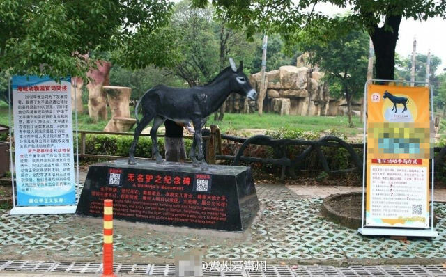 中国の動物園 生きたロバをトラの檻に放り投げ見世物に 批判殺到しロバの追悼像を建てる ニコニコニュース