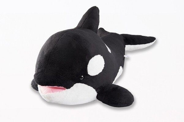 チャンスは今だけ 鴨川シーワールドの大人気 シャチくじ に超特大ぬいぐるみ登場 ニコニコニュース チャンスは今だけ 鴨川シーワールドの大人気 シャチくじ に超特大ぬいぐるみ登場 ニコニコニュース