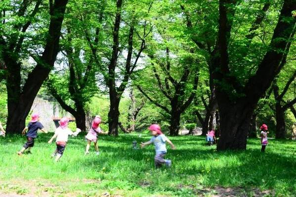 小2女児のギモン セミの抜け殻は 食べられますか 専門家 油でパリッと揚げたら ビールに ニコニコニュース