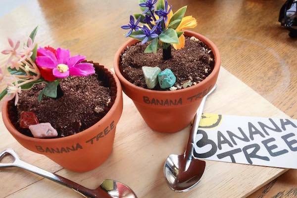 電球ソーダの次はコレ 韓国発 植木鉢スイーツ がインパクト大 ニコニコニュース 電球ソーダの次はコレ 韓国発 植木鉢スイーツ がインパクト大 ニコニコニュース