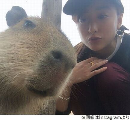 山本美月 カピバラ 超かわいいと絶賛 ニコニコニュース