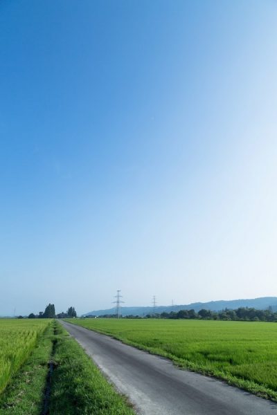 地方では300メートル先のコンビニに車移動が当たり前 夏休みの帰省で驚いたこと ニコニコニュース