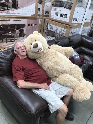 謎商品 コストコの謎 巨大クマさん 買った後その後どうなるの 海外の状況があきらかに ニコニコニュース