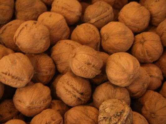 くるみ の栄養とさまざまな調理方法 ニコニコニュース