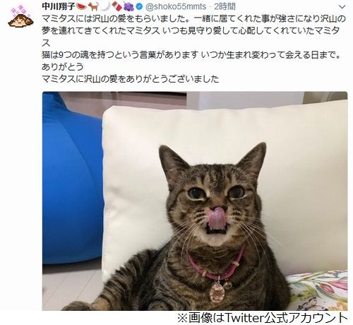 中川翔子 マミタスが 沢山の夢連れてきてくれた ニコニコニュース 中川翔子 マミタスが 沢山の夢連れてきてくれた ニコニコニュース