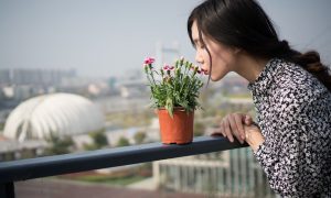 恋愛経験が少ない女性は付き合うのに最適 見分け方や特徴は ニコニコニュース