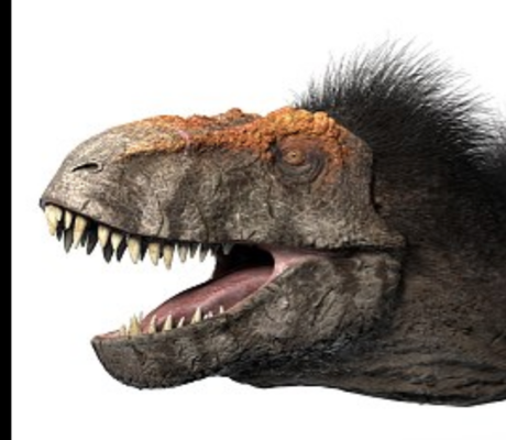 コレジャナイ感 ティラノサウルスの最新想像図が公開される ニコニコニュース