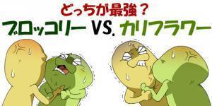 ブロッコリー Vs カリフラワー全面戦争 あなたはドッチが好き ニコニコニュース