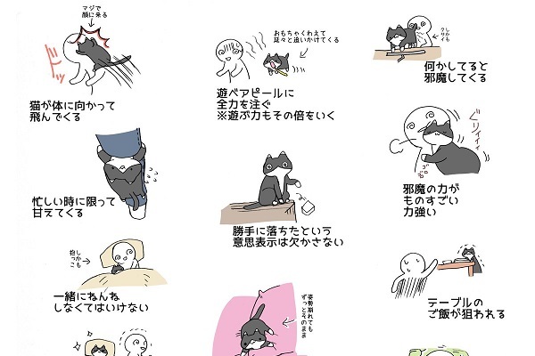 共感しかない 猫を飼うのは大変だということを伝えたイラストに16万いいね ニコニコニュース